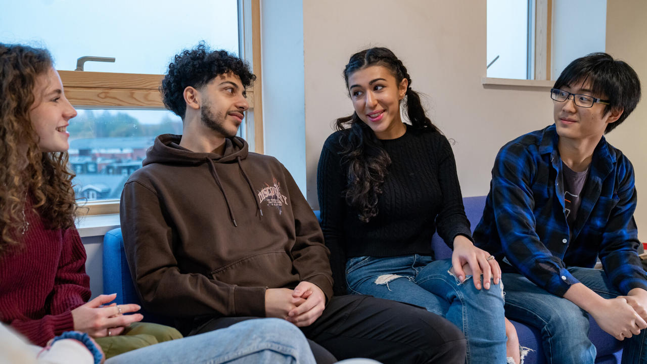 Institute for Mental Health - University of Birmingham