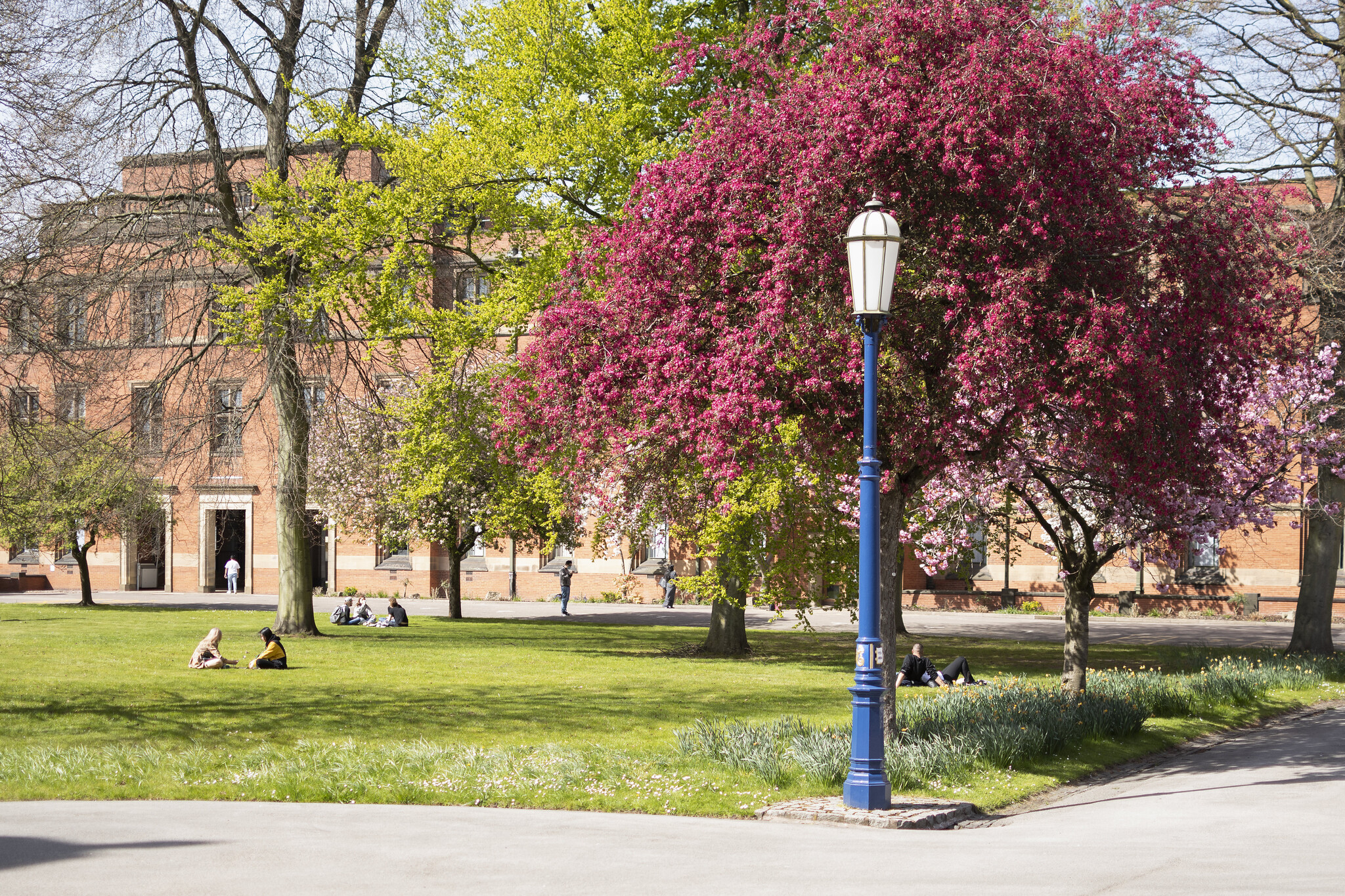 Birmingham Law School with students sitting on the grass in front of the building