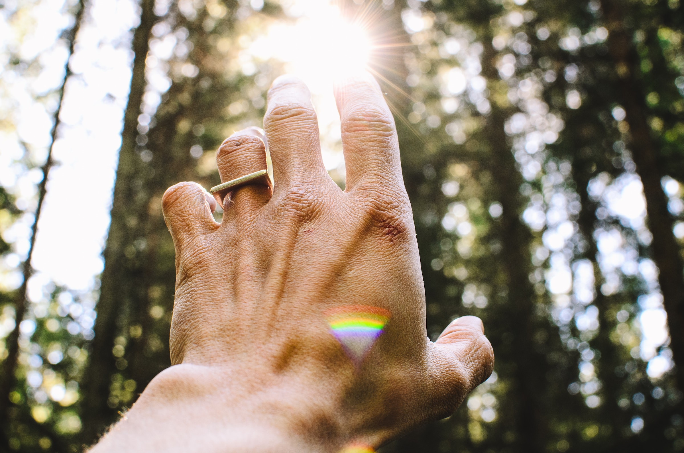 A hand reaching towards sunlight in a forest