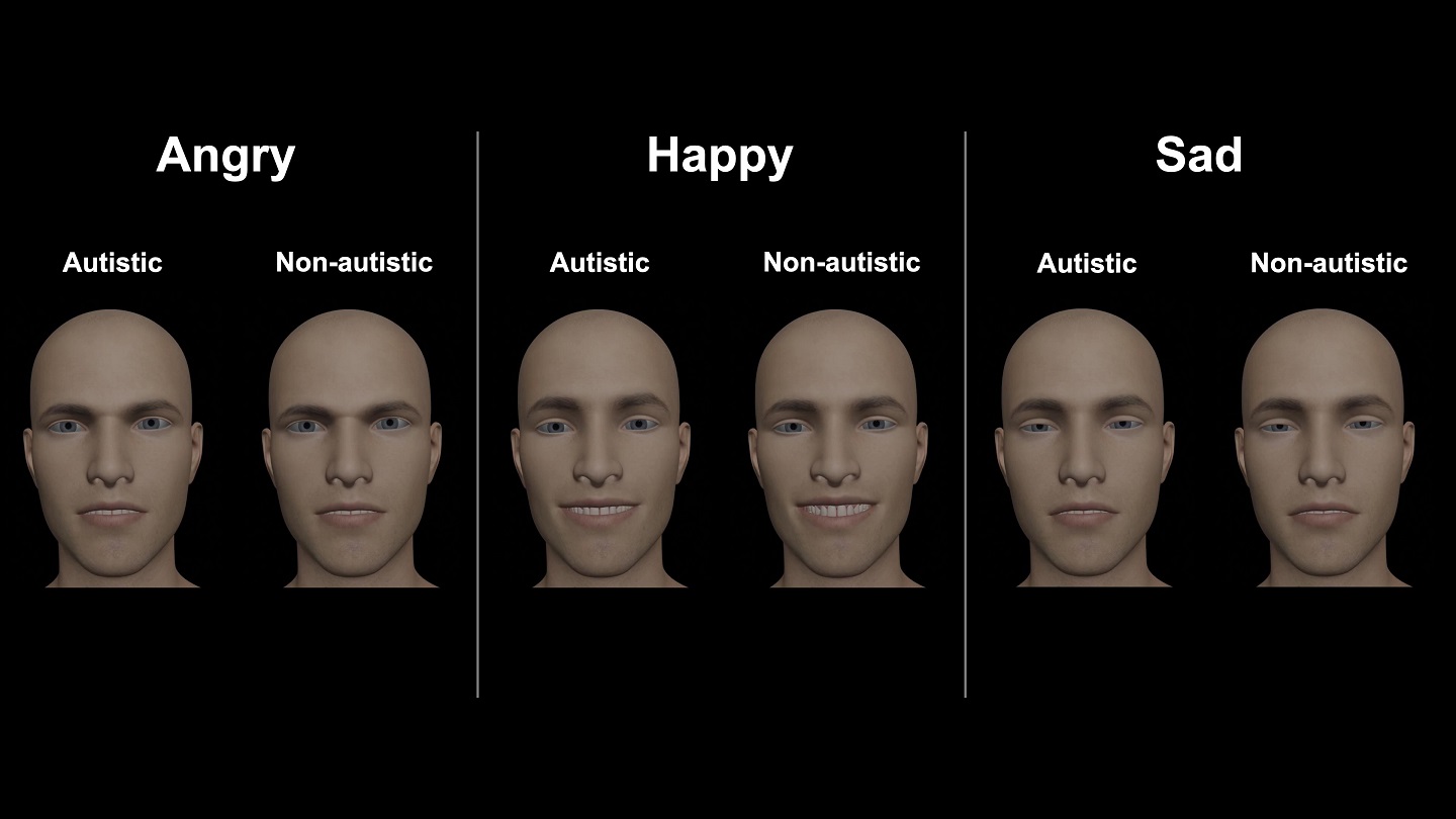 Computer generated pictures of emotions in faces of autistic and non-autistic avatar