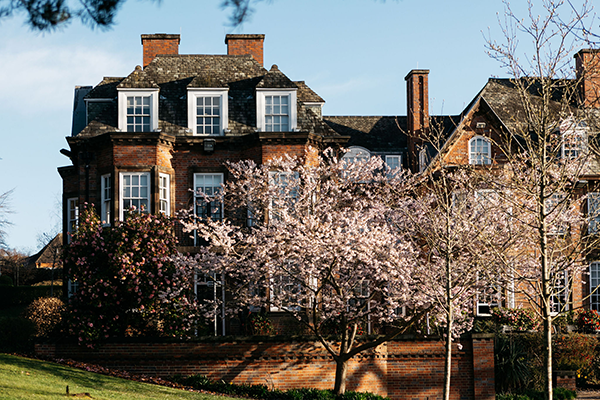 A red-bricked building with white-framed windows and blossom trees in the foreground.