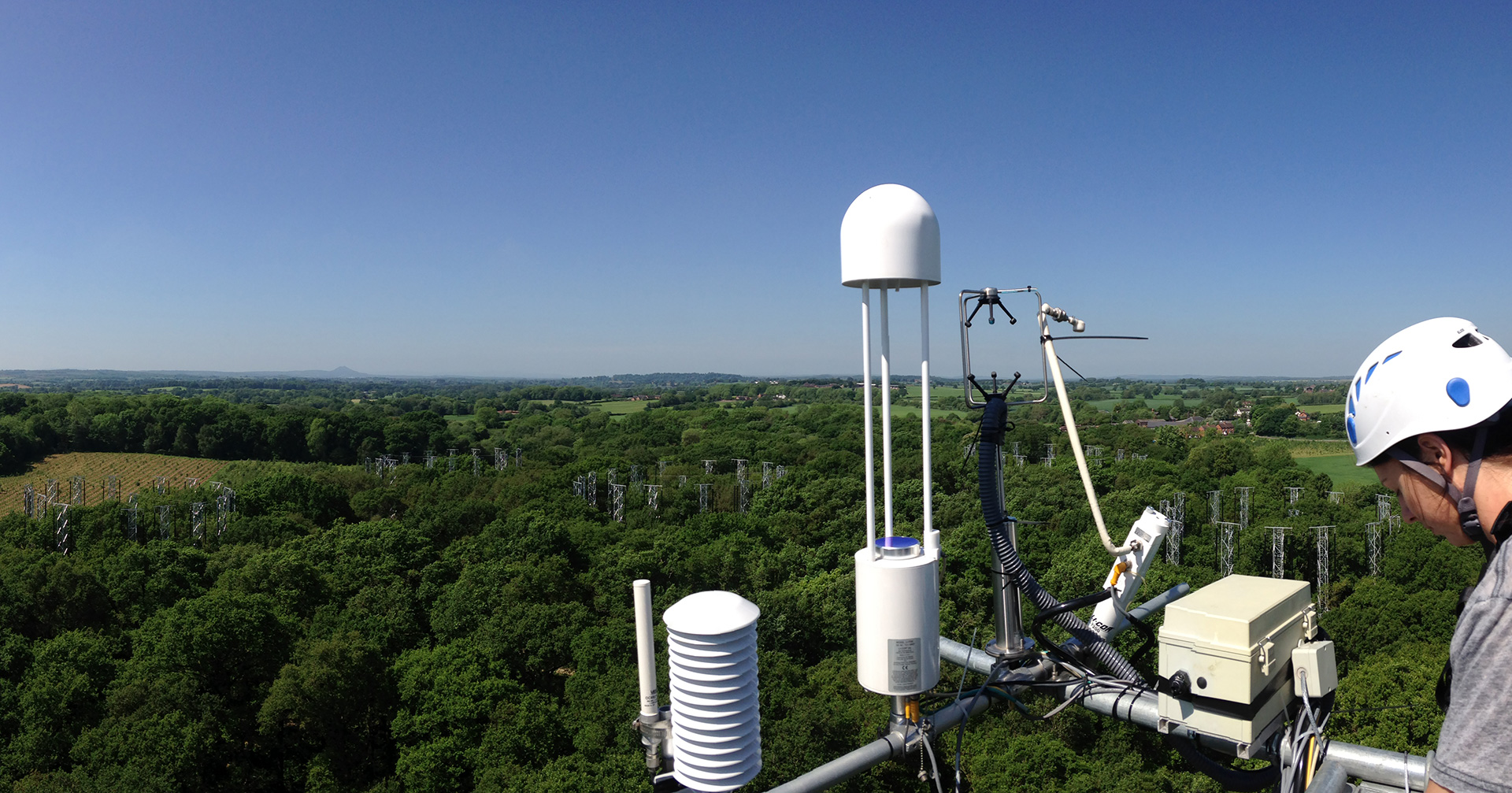 View of research equipment above canopy of forest
