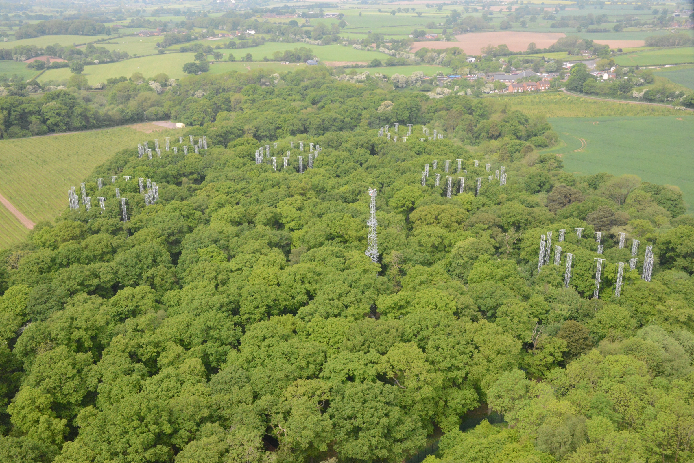 View of carbon masts above the trees at BIFoR FACE