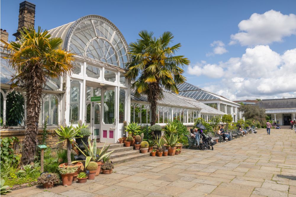 A large glasshouse with tropical plants outside on a summers day