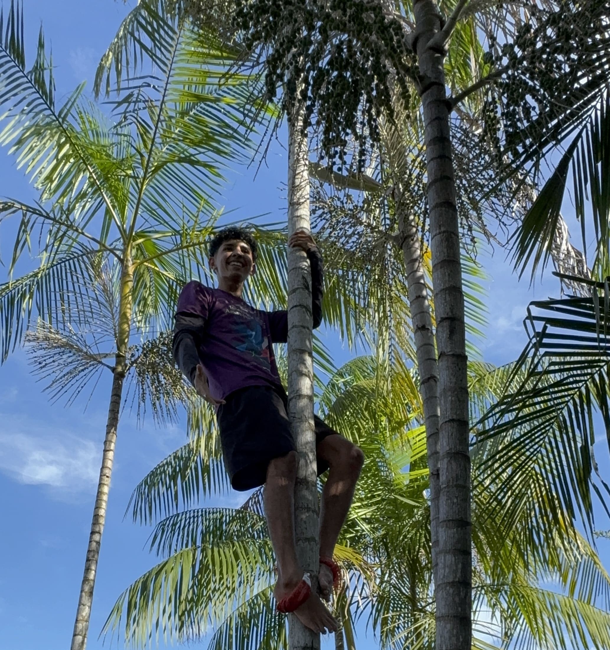Immerse Amazonia student climbing açaí tree
