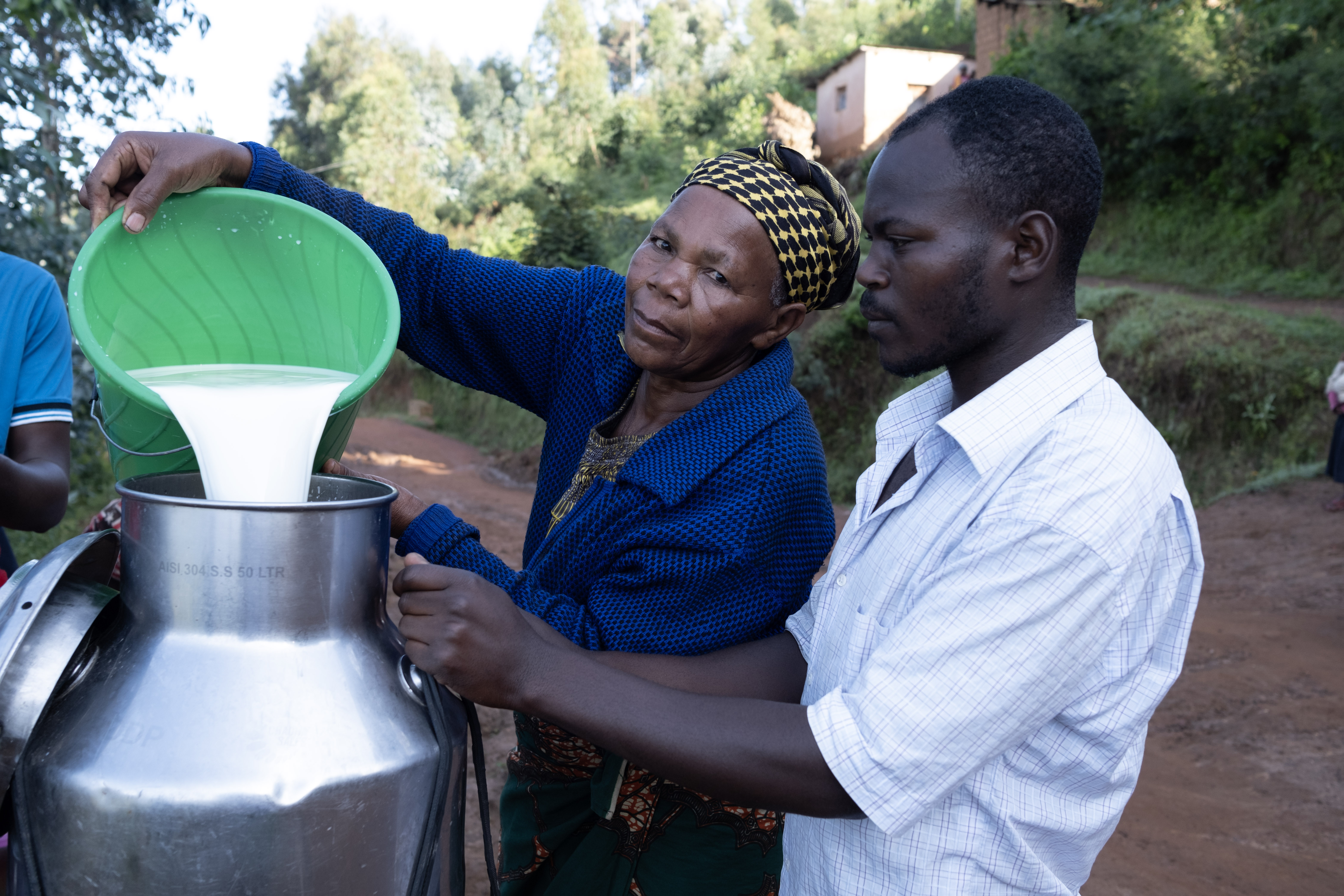 Rwandan farmers pour milk into a metal container
