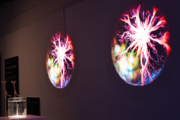 Colourful bursts of colour projected onto a wall