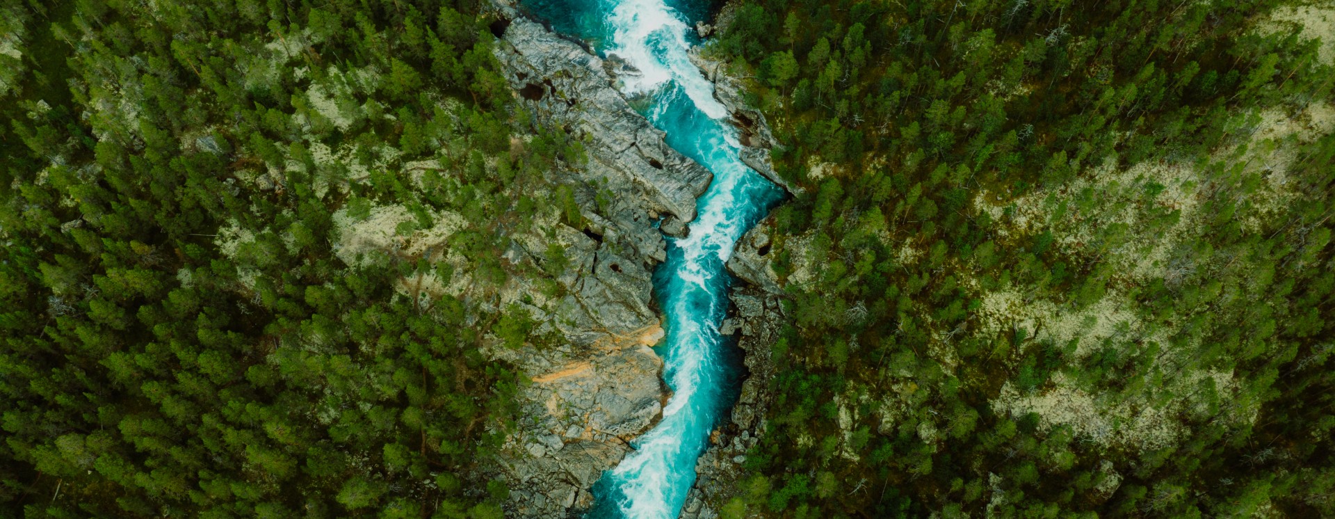 Aerial view of a river flowing through a green landscape