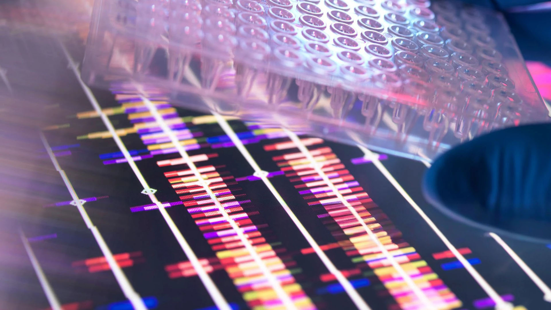 DNA read-out