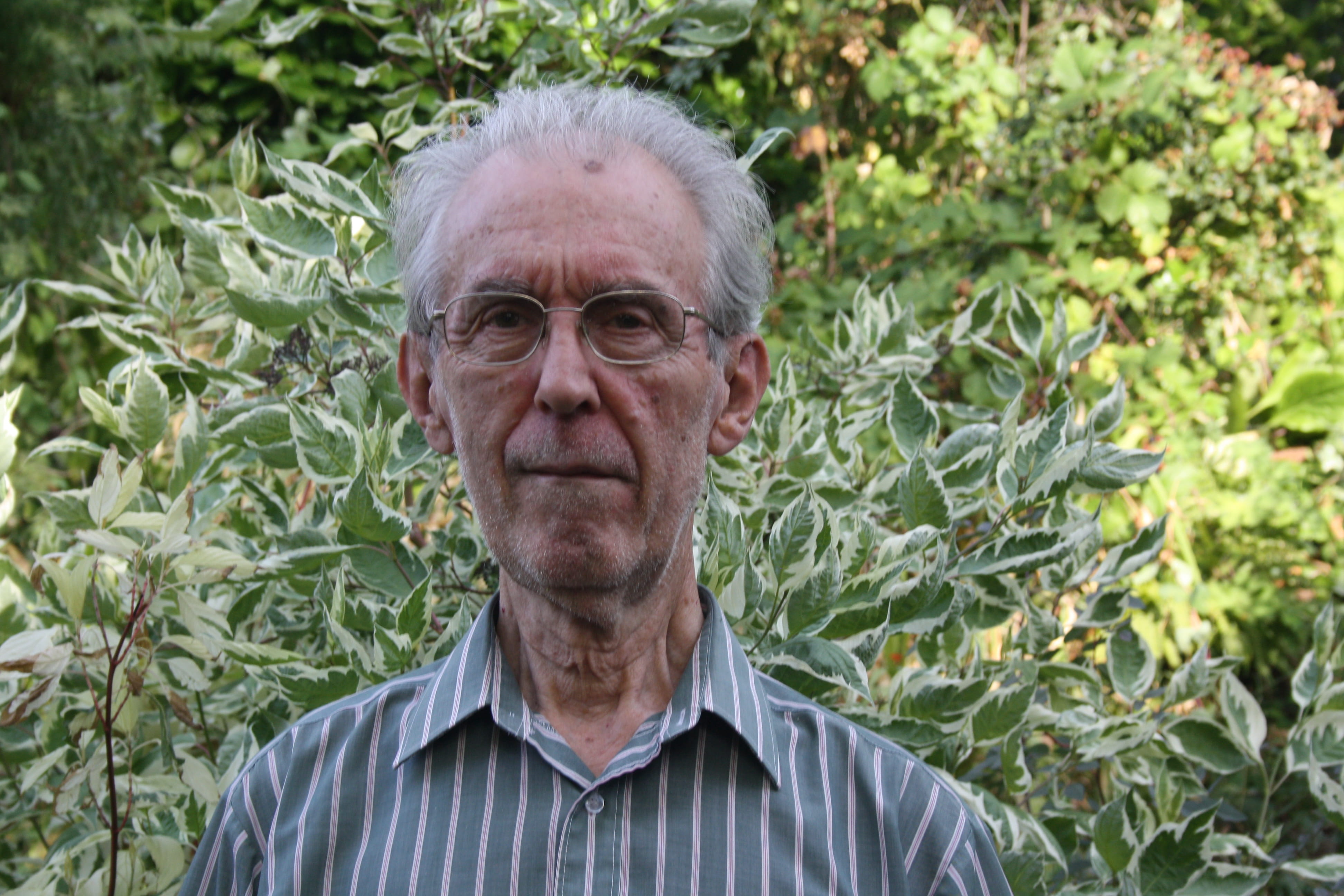 David Hodgson