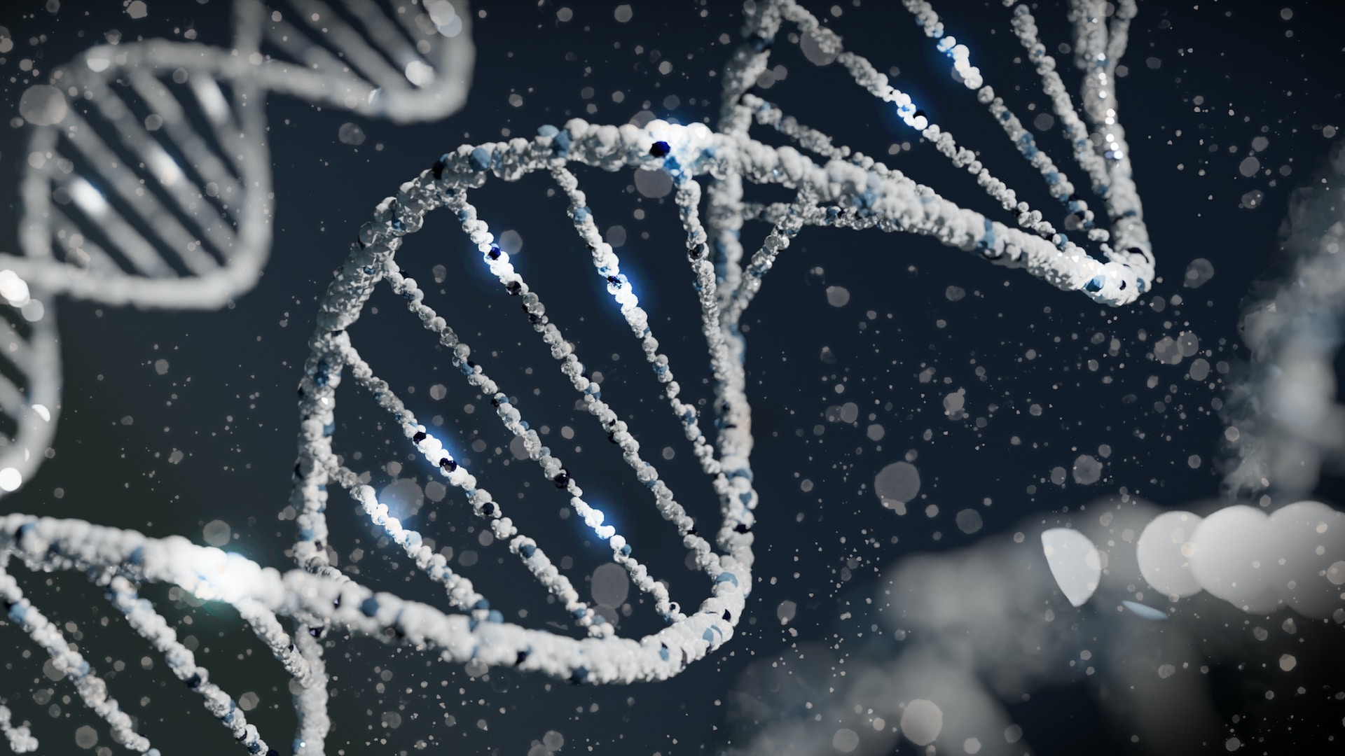 Computer generated illustration of a DNA double helix