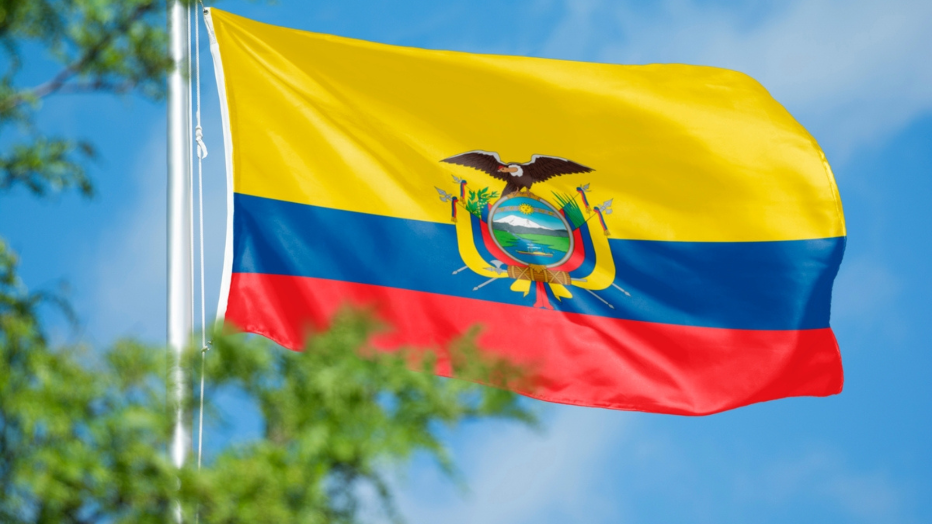 The flag of Ecuador blowing in the wind