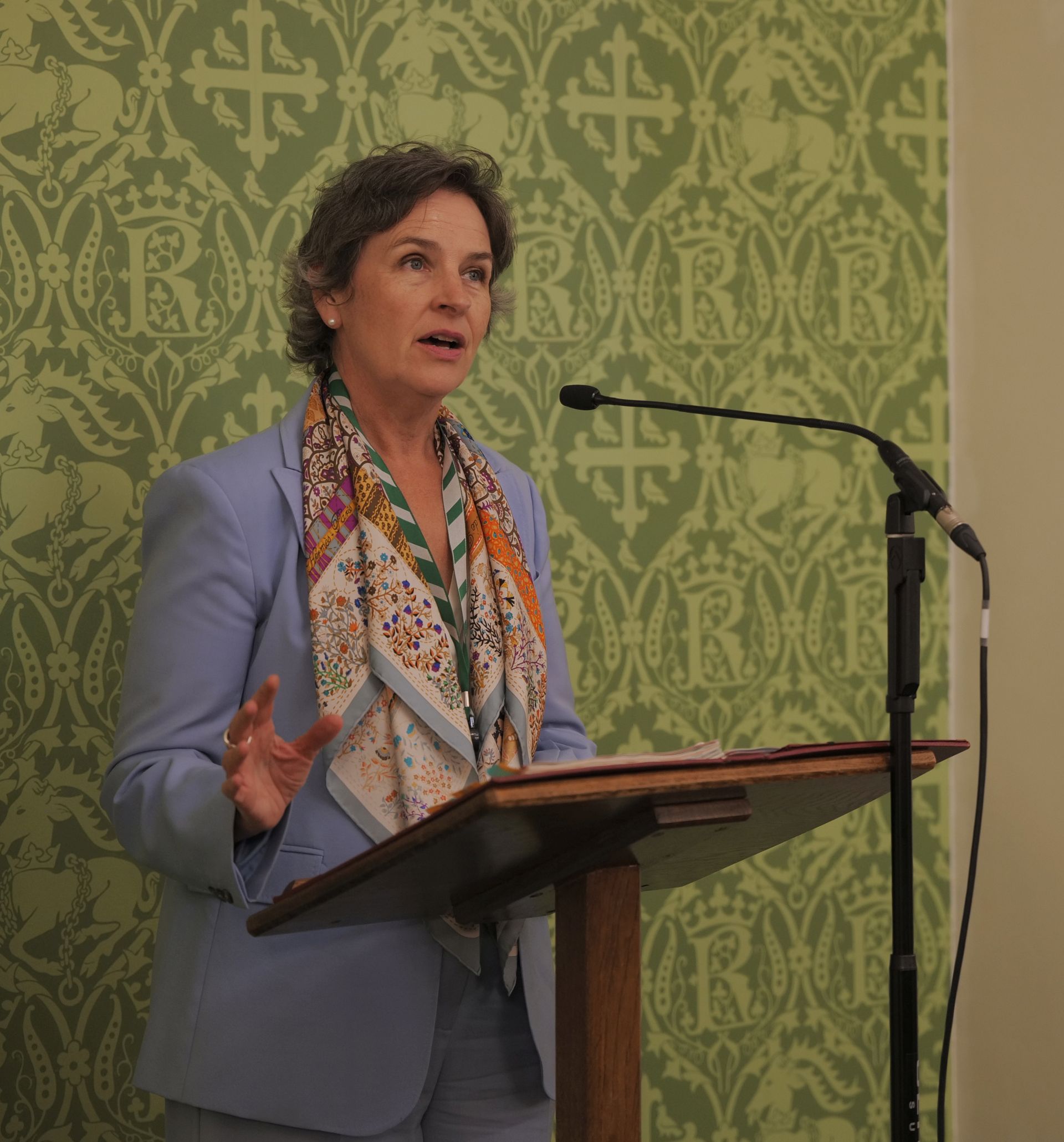 Mary Creagh MP speaking at a parliamentary reception to celebrate the APPG
