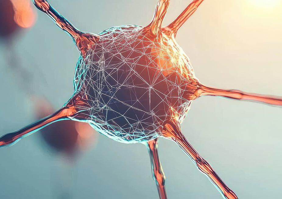 Cell and Tissue Engineering - University of Birmingham