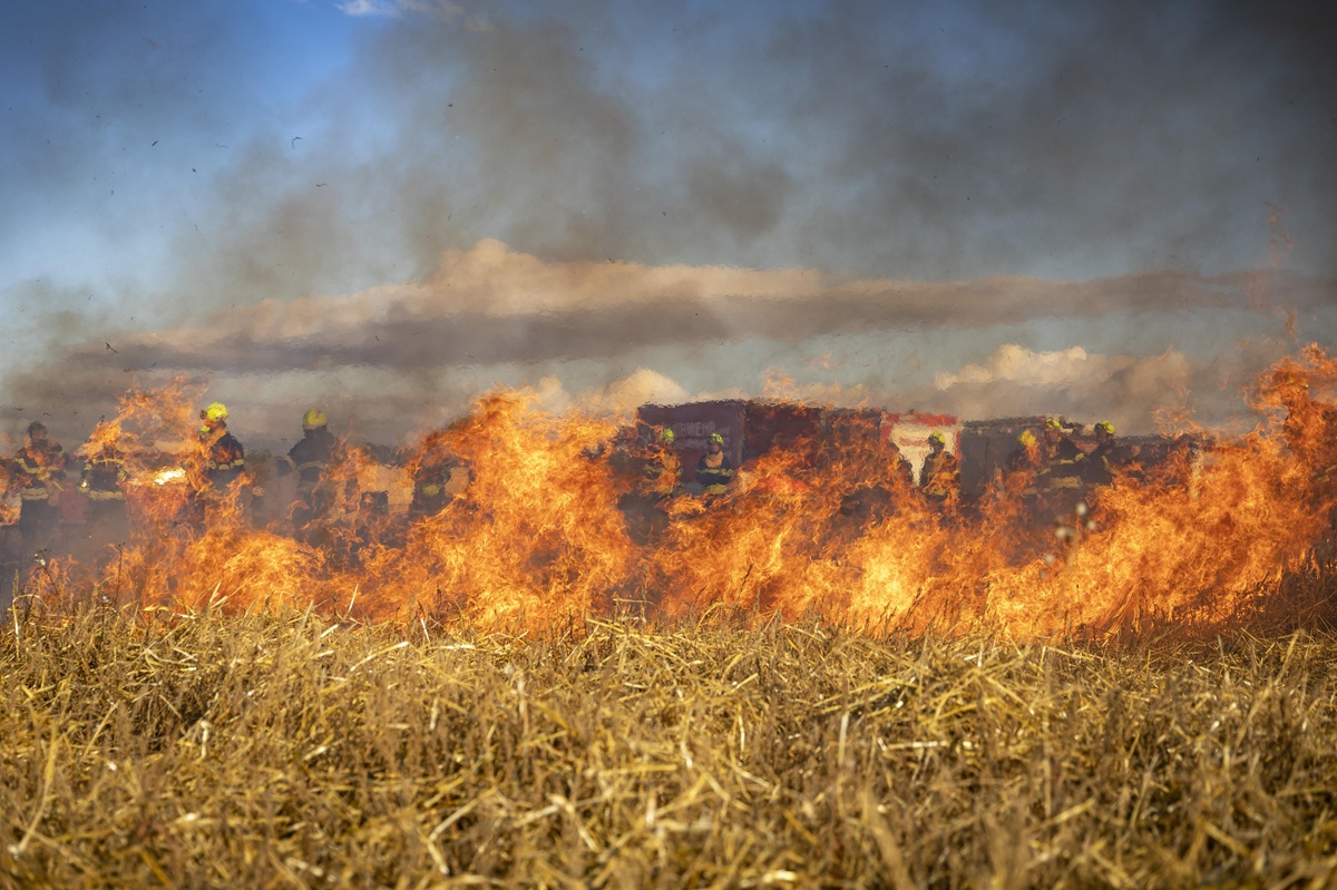 wildfire