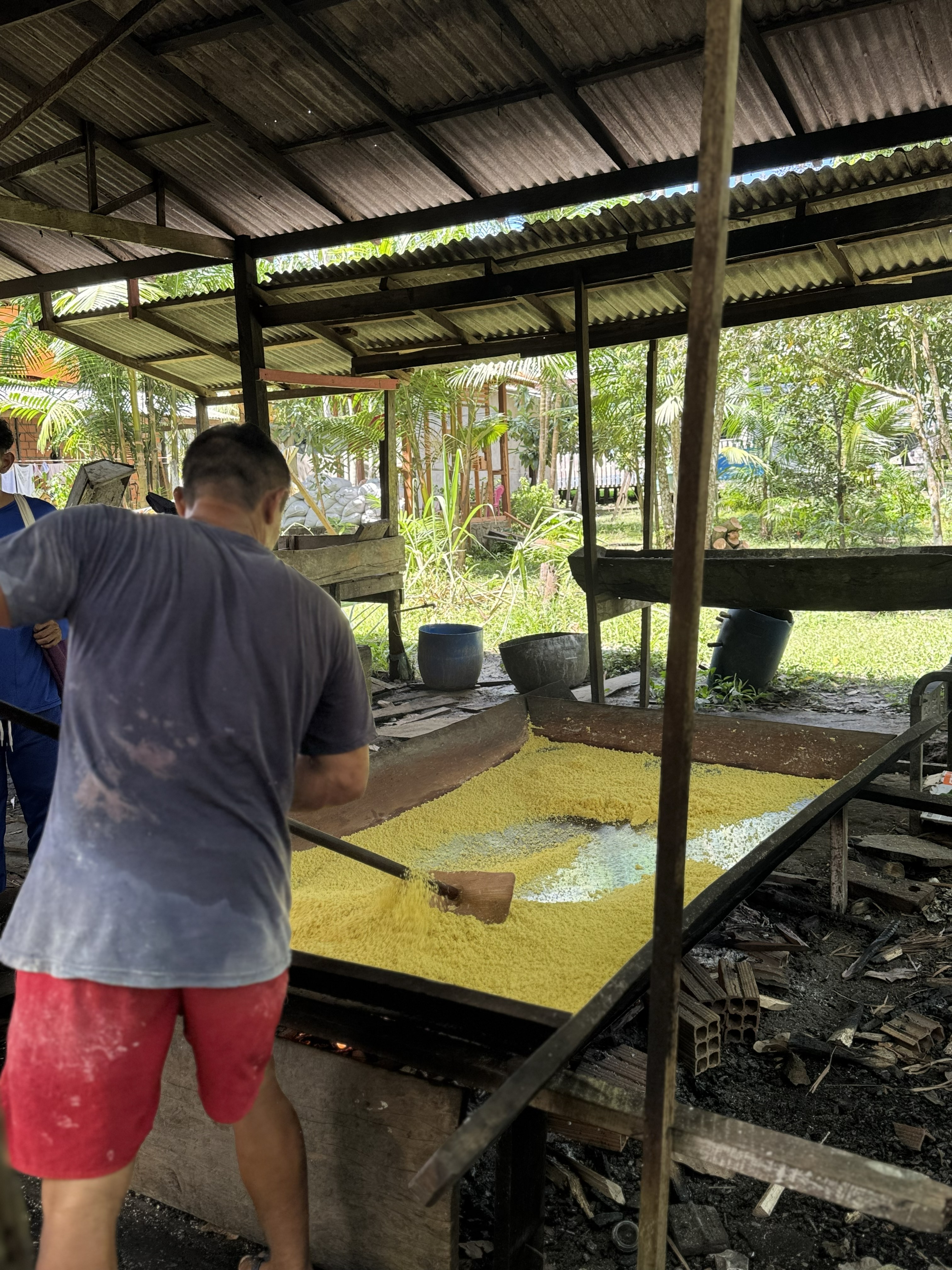 Demonstration of mandioca flour production