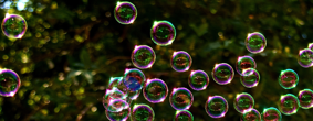 A group of bubbles floating away in the sunlight with trees behind.