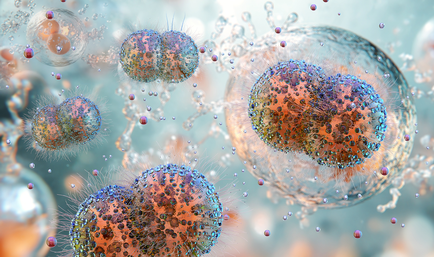 3D rendered image of Gonorrhoea bacterium - Neisseria gonorrhoeae