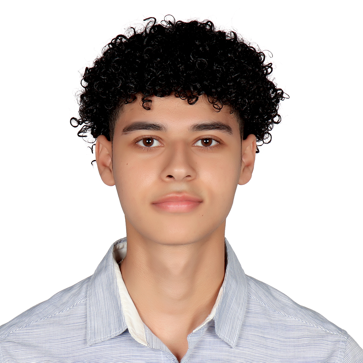 Headshot of Karim Arafa.