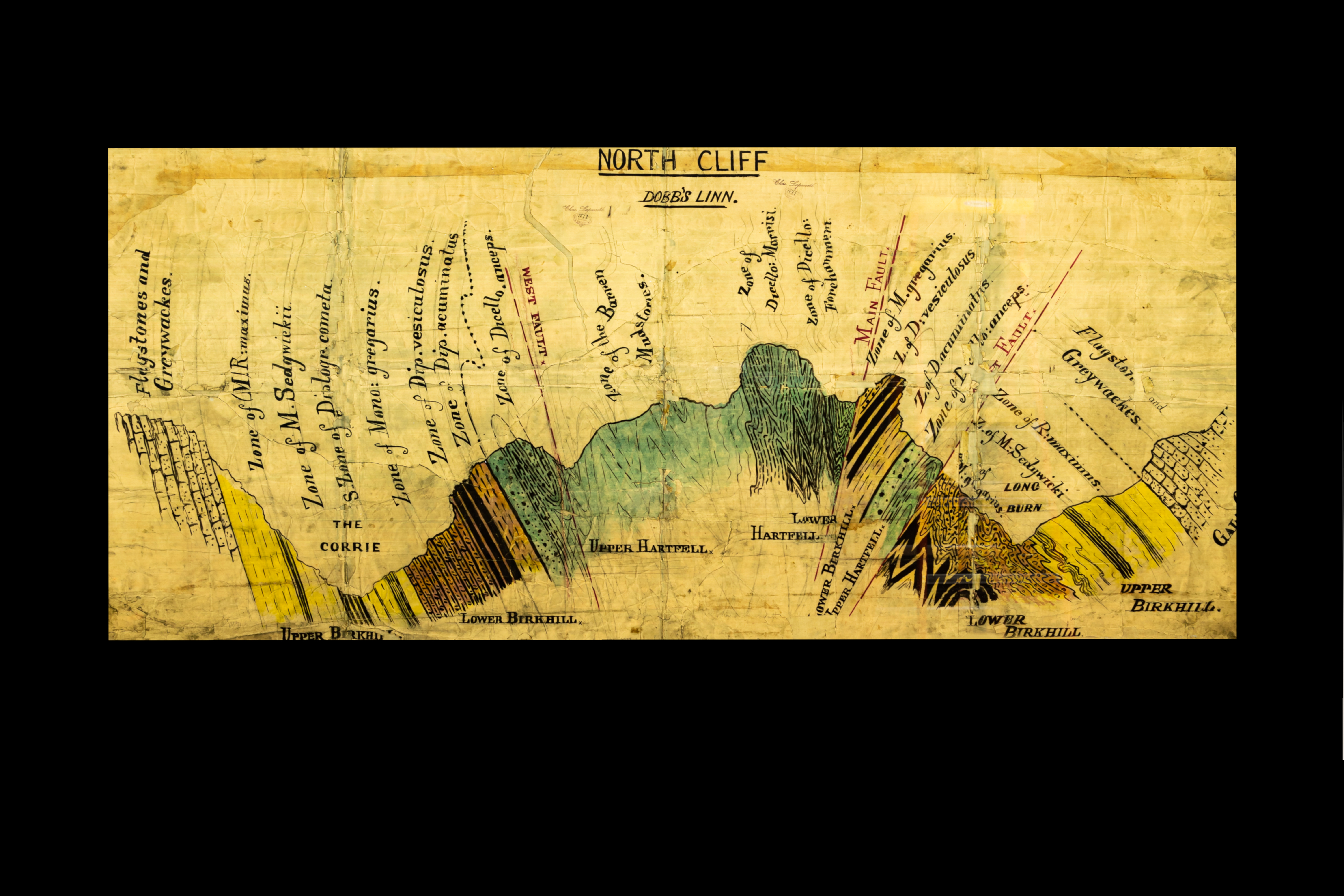 Lapworth's cross-section of the Southern Uplands of Scotland.