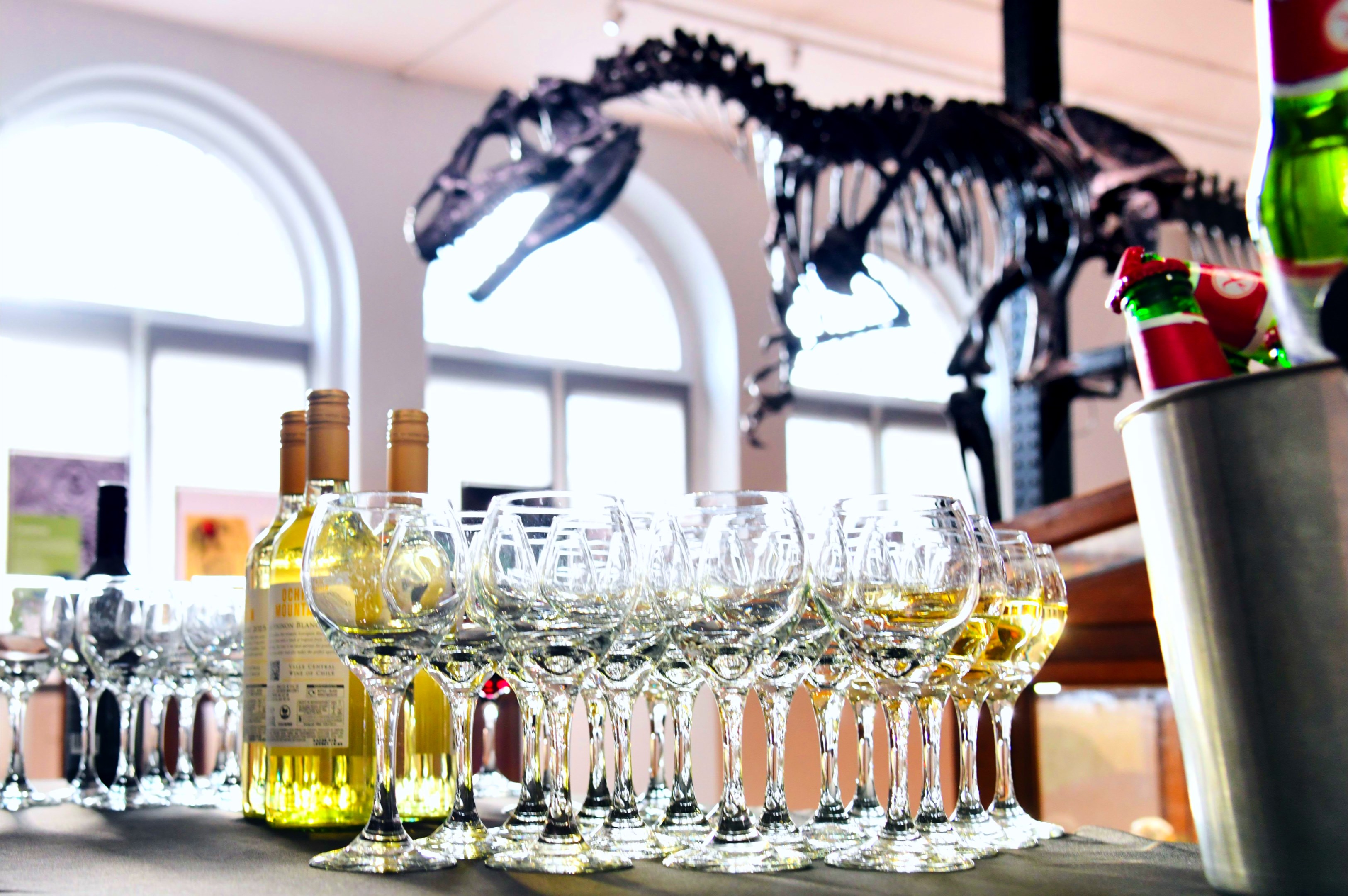 A table of glasses and wine bottles underneath an Allosaurus skeleton.