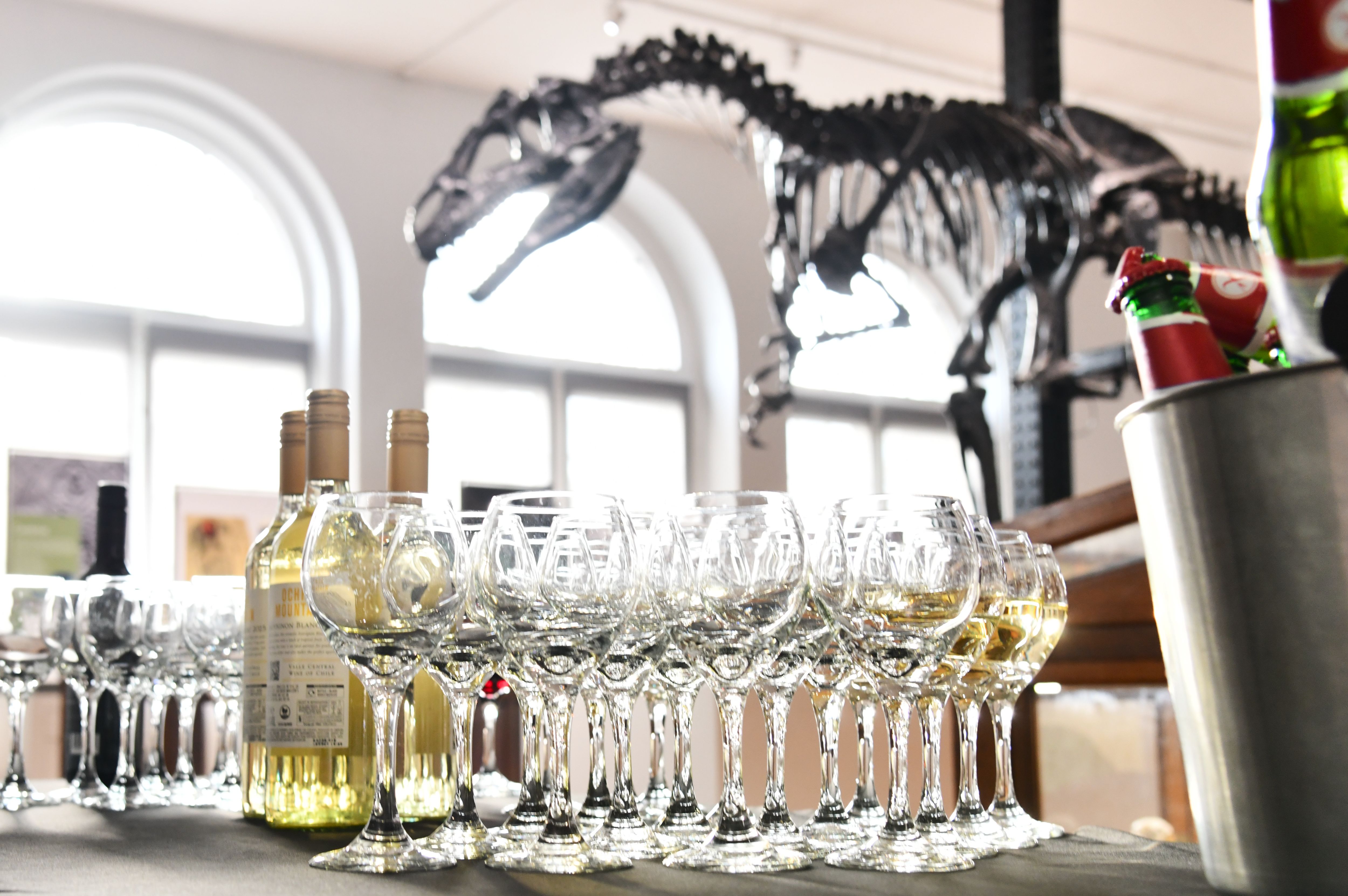 A selection of wine glasses shine underneath an Allosaurus skeleton.