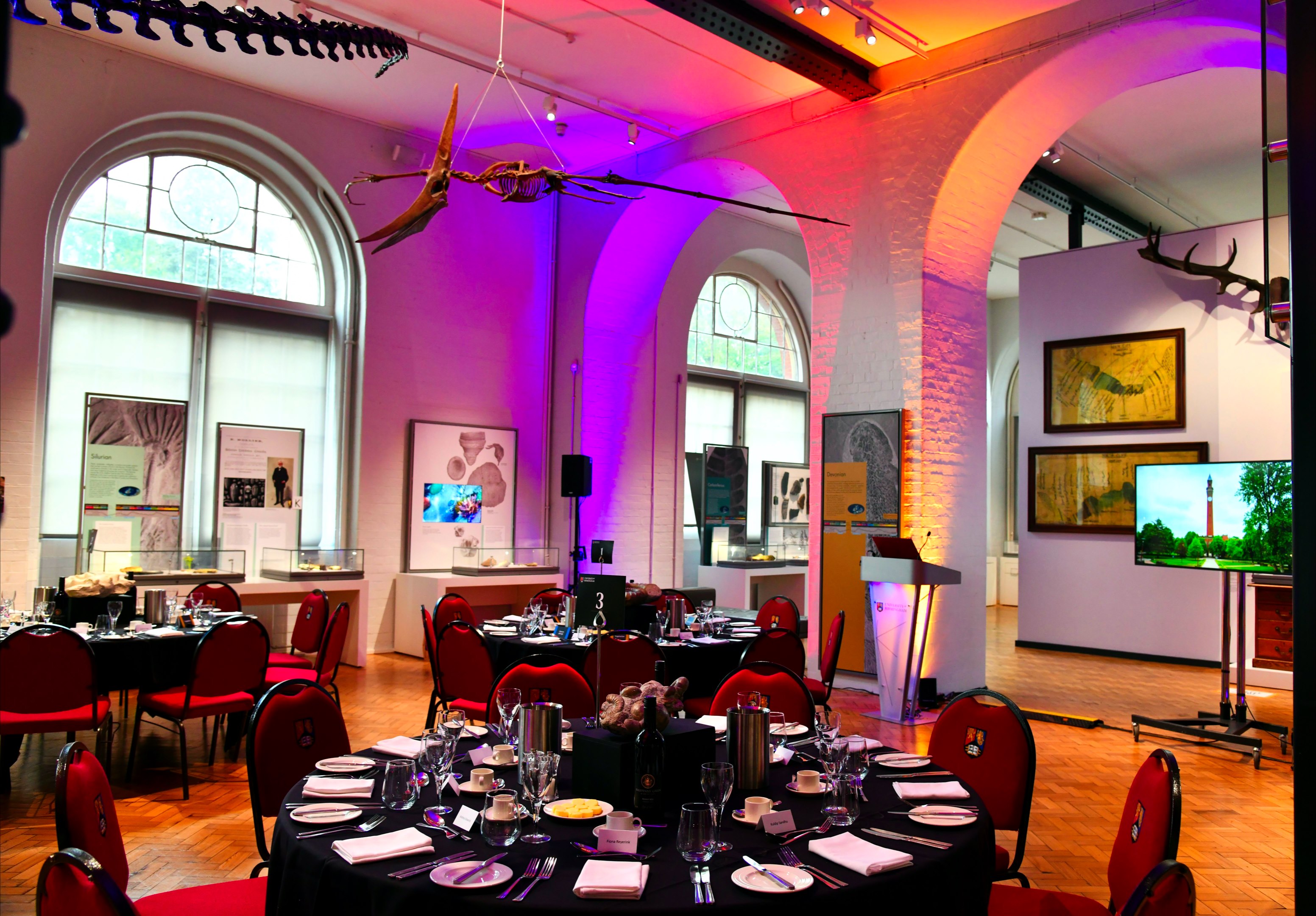 Formal dinner tables and coloured lights fill the Lapworth Museum galleries.