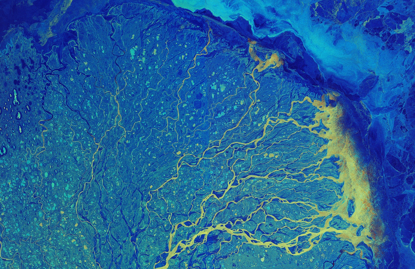 Satellite image of a river delta