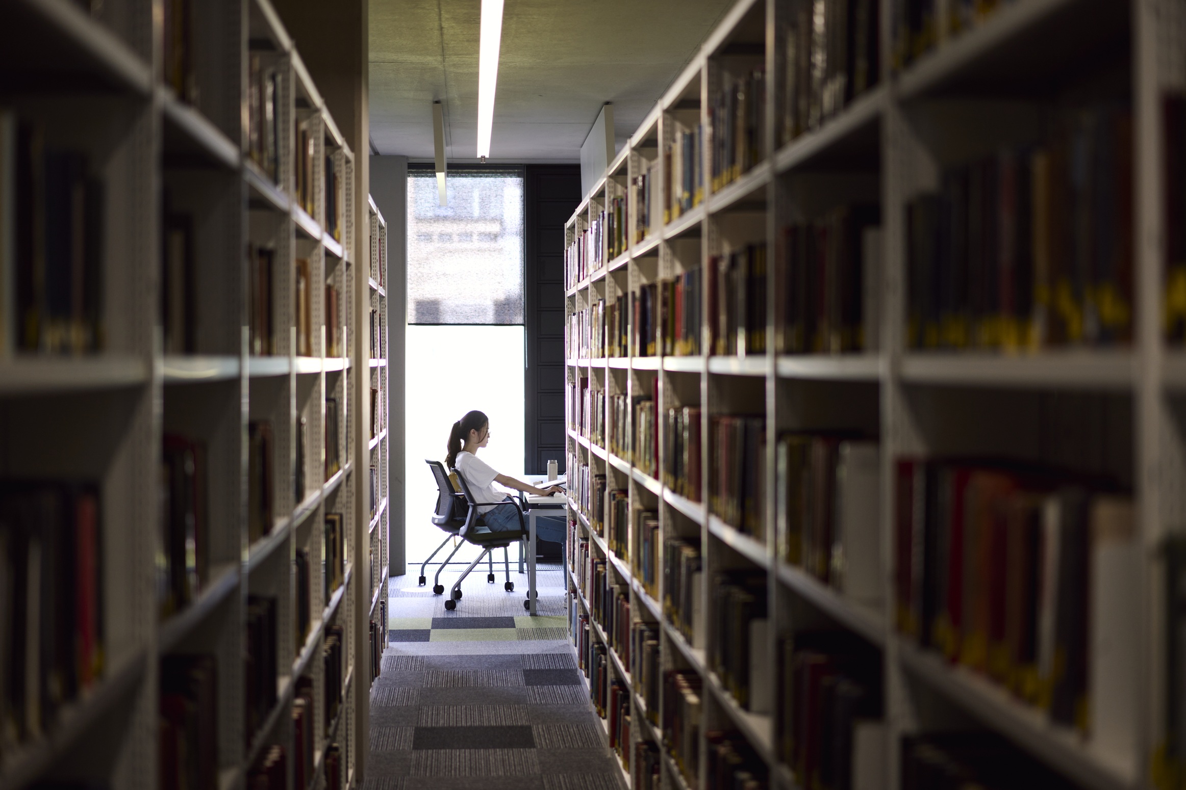 As student seen studying through library shelves