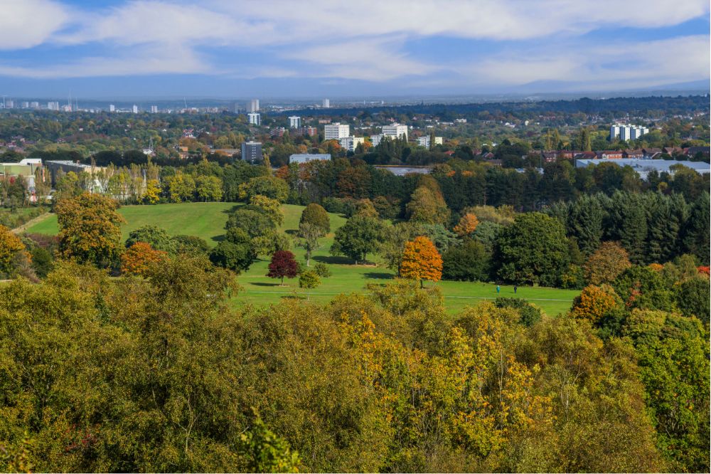 A woodland of autumnal trees in the foreground with city scape in the distance.