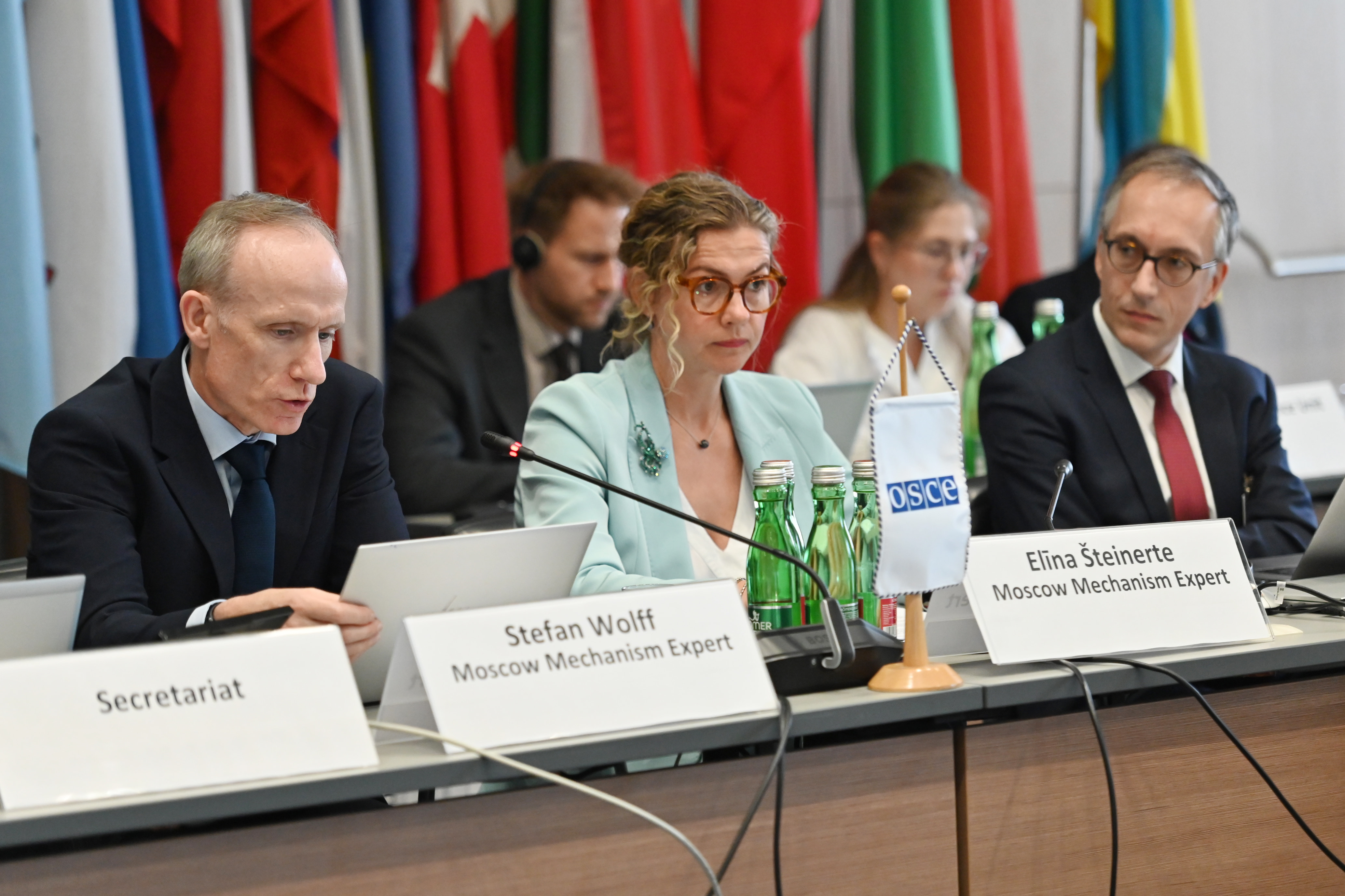 Professor Stefan Wolff and his co-reporters speaking at the council