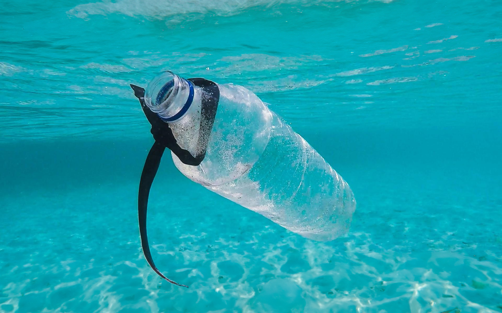 A discarded plastic bottle floating underwater in clear blue water