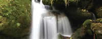 A waterfall from the front cover of On the Edge of the River Sar: A Feminist Translation, with author's permission