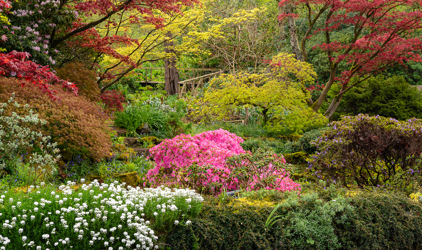Colourful flowers, shrubs, and trees in Winterbourne's Sandstone Rock Garden