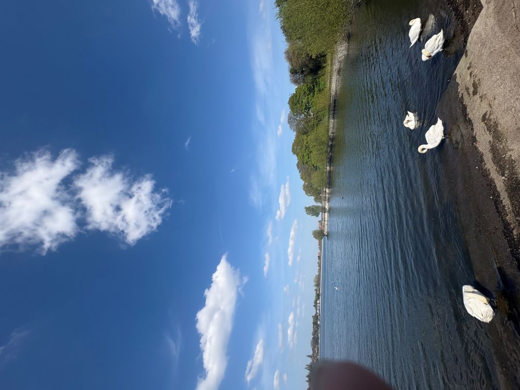 Edgbaston Reservoir view