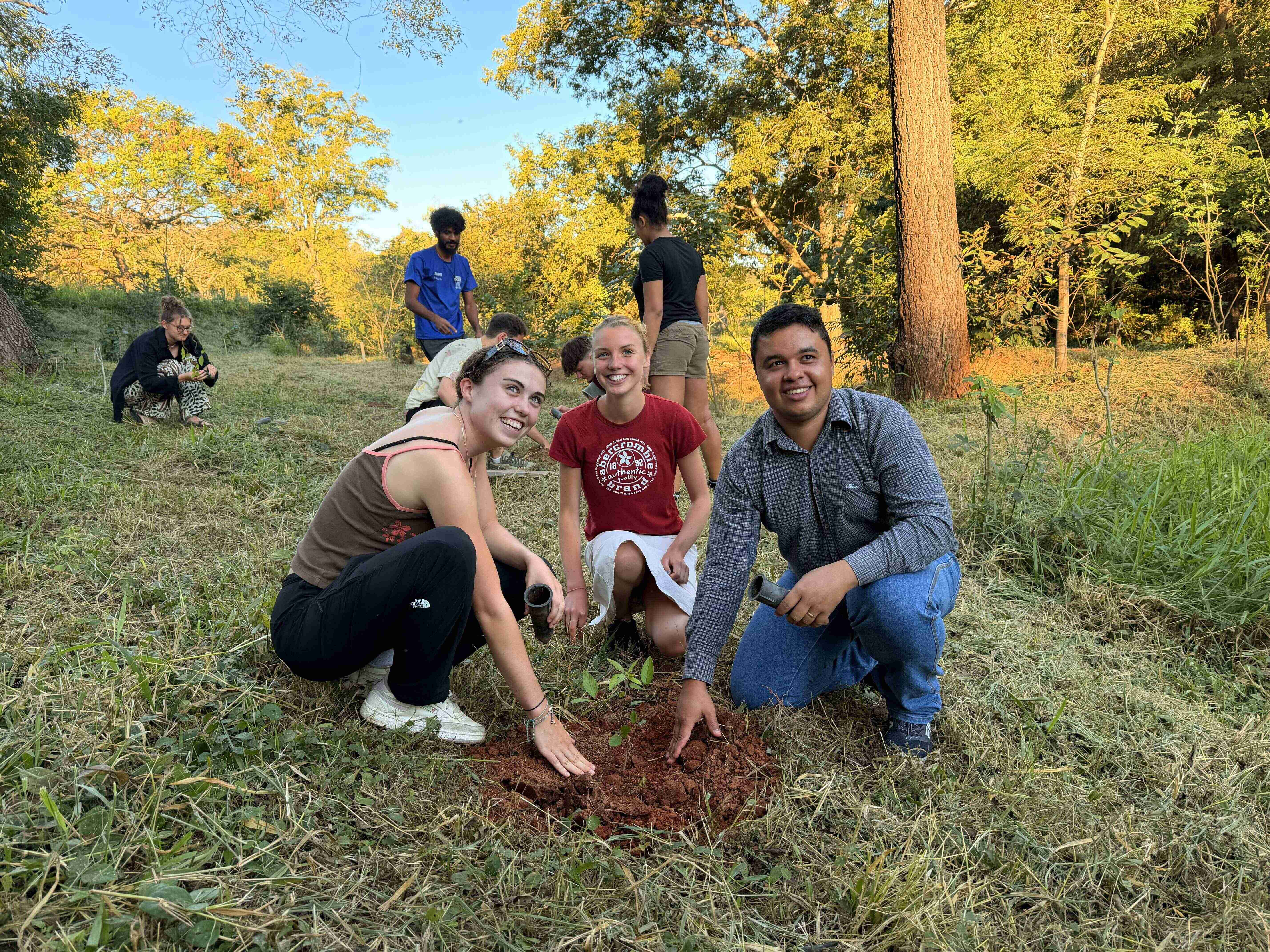Students planting trees 