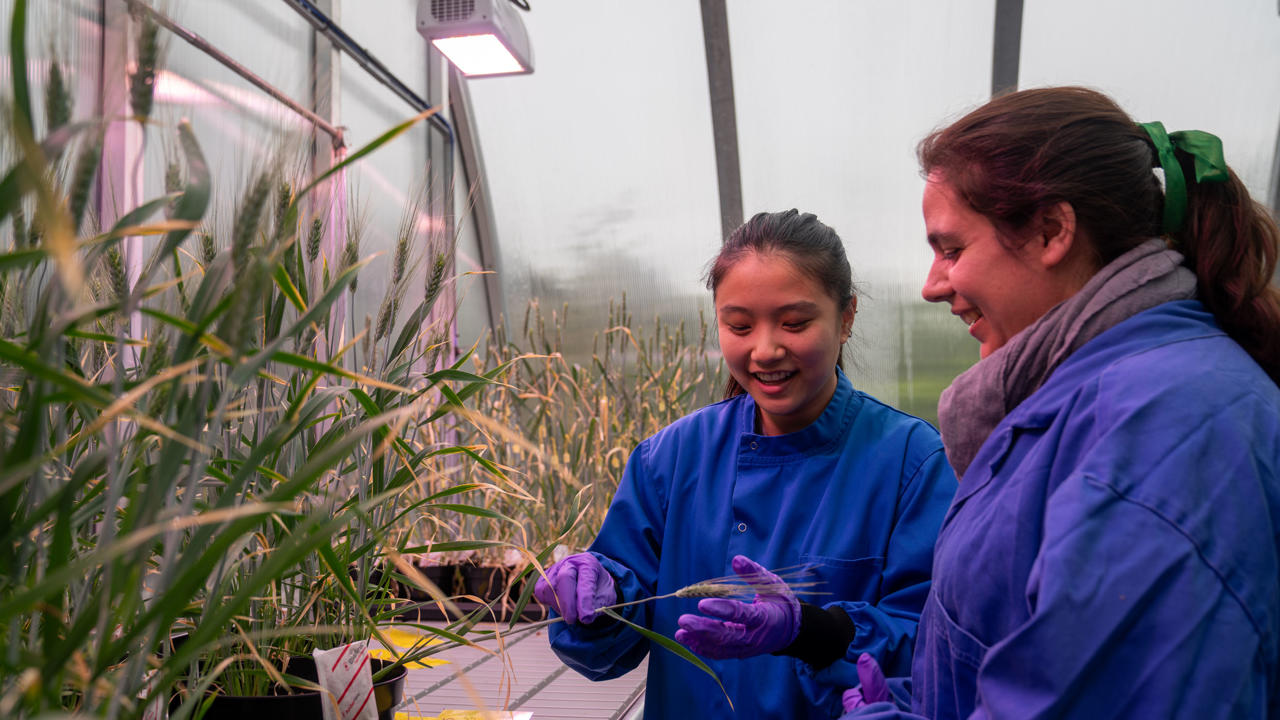 Undergraduate Geography Earth And Environmental Sciences In Dubai