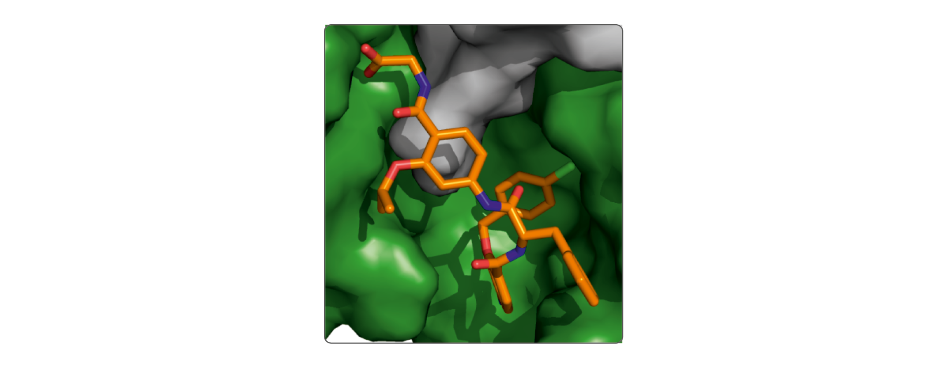  supramolecular chemical biology