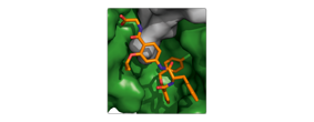  supramolecular chemical biology