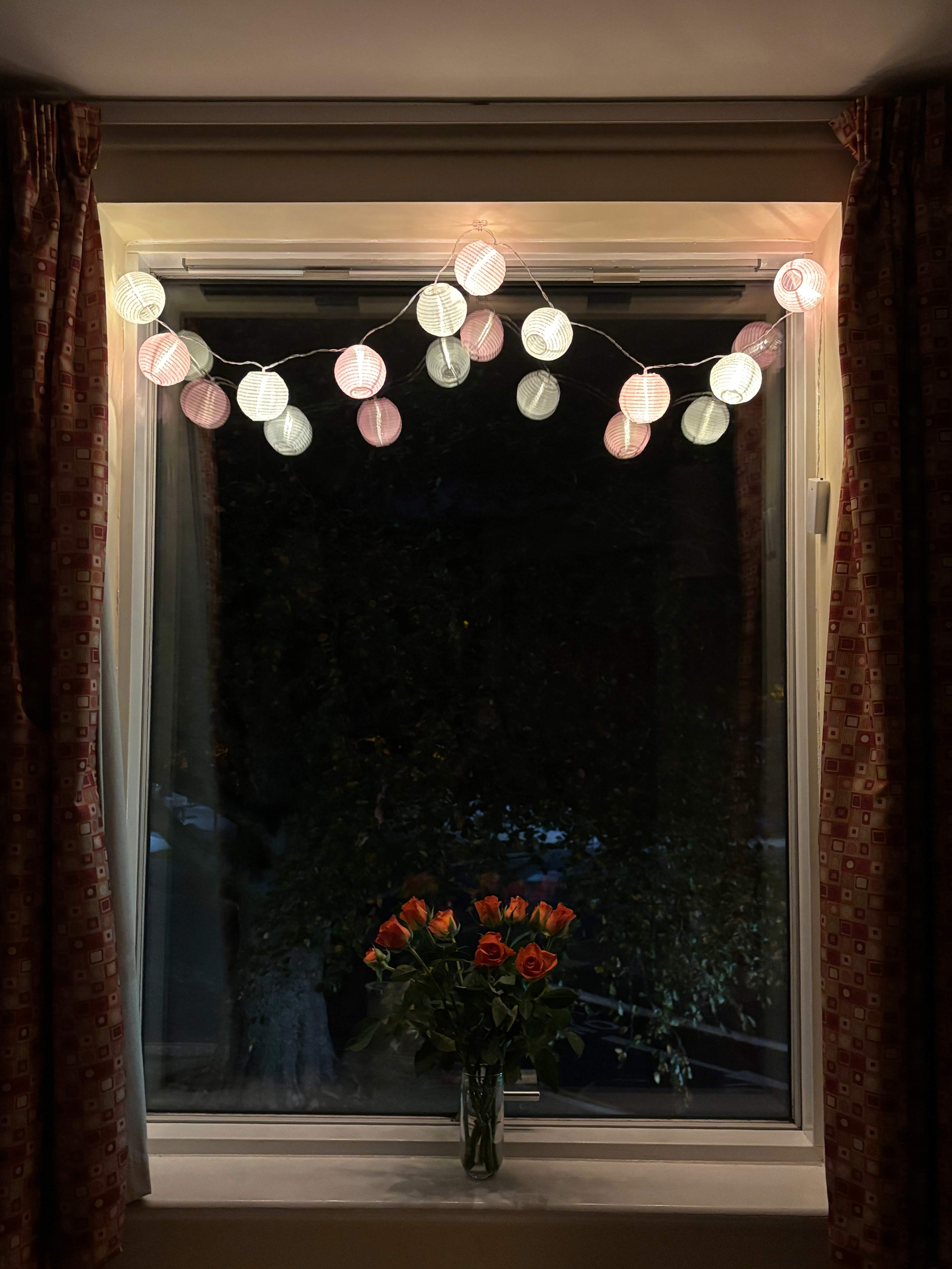 A window frame with hanging string lights and a vase of red roses