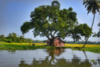 river in India with small house on the bank