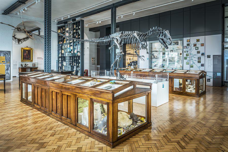 The Lapworth Museum galleries.