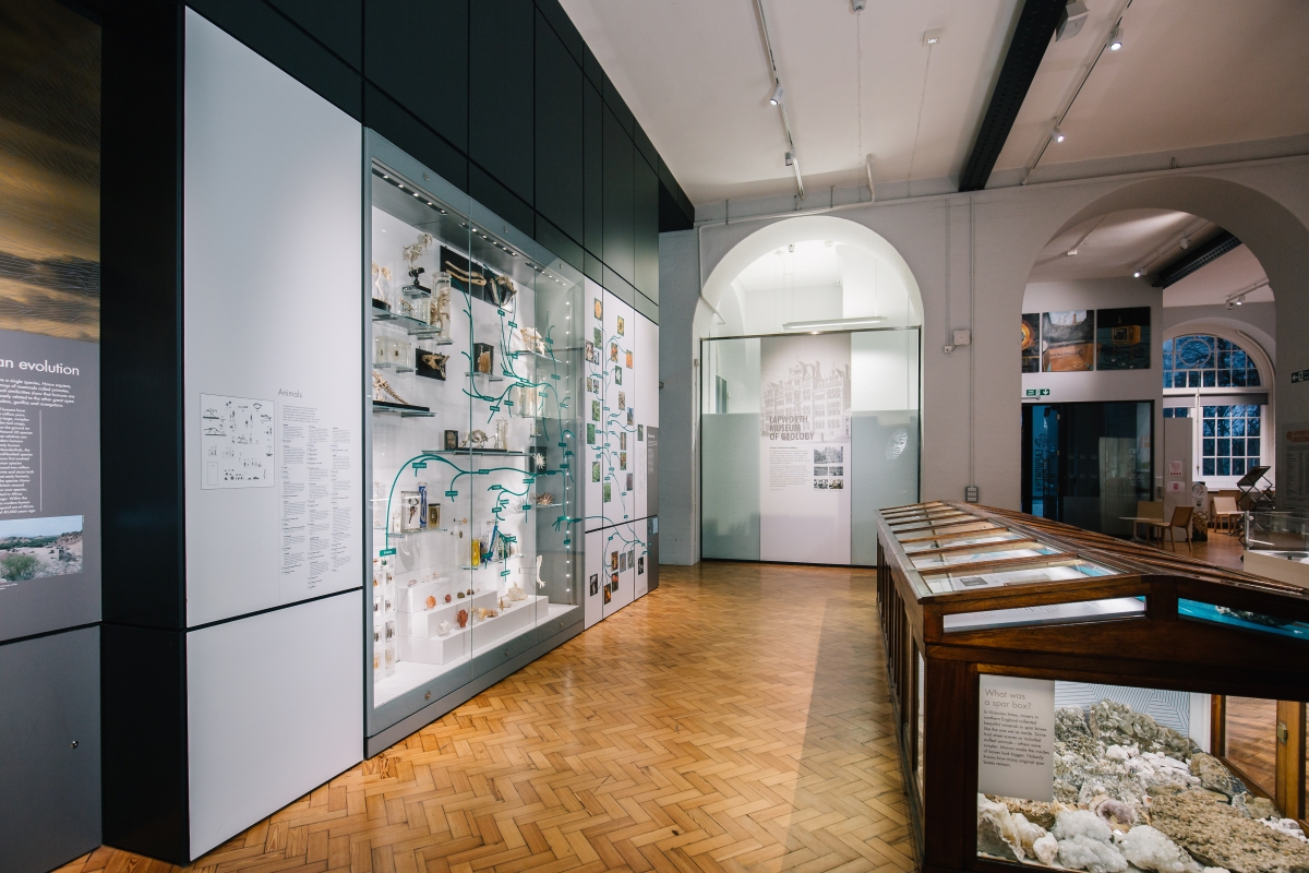The new Lapworth Museum galleries.
