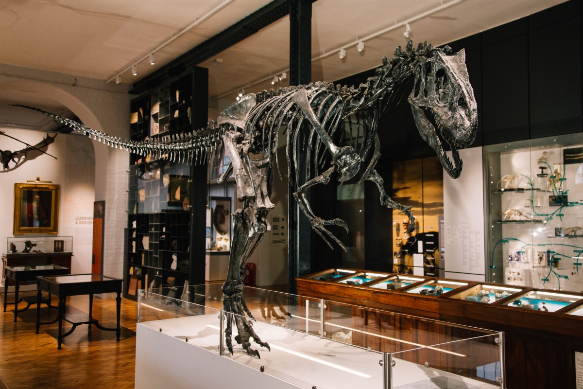 The new Lapworth Museum galleries.