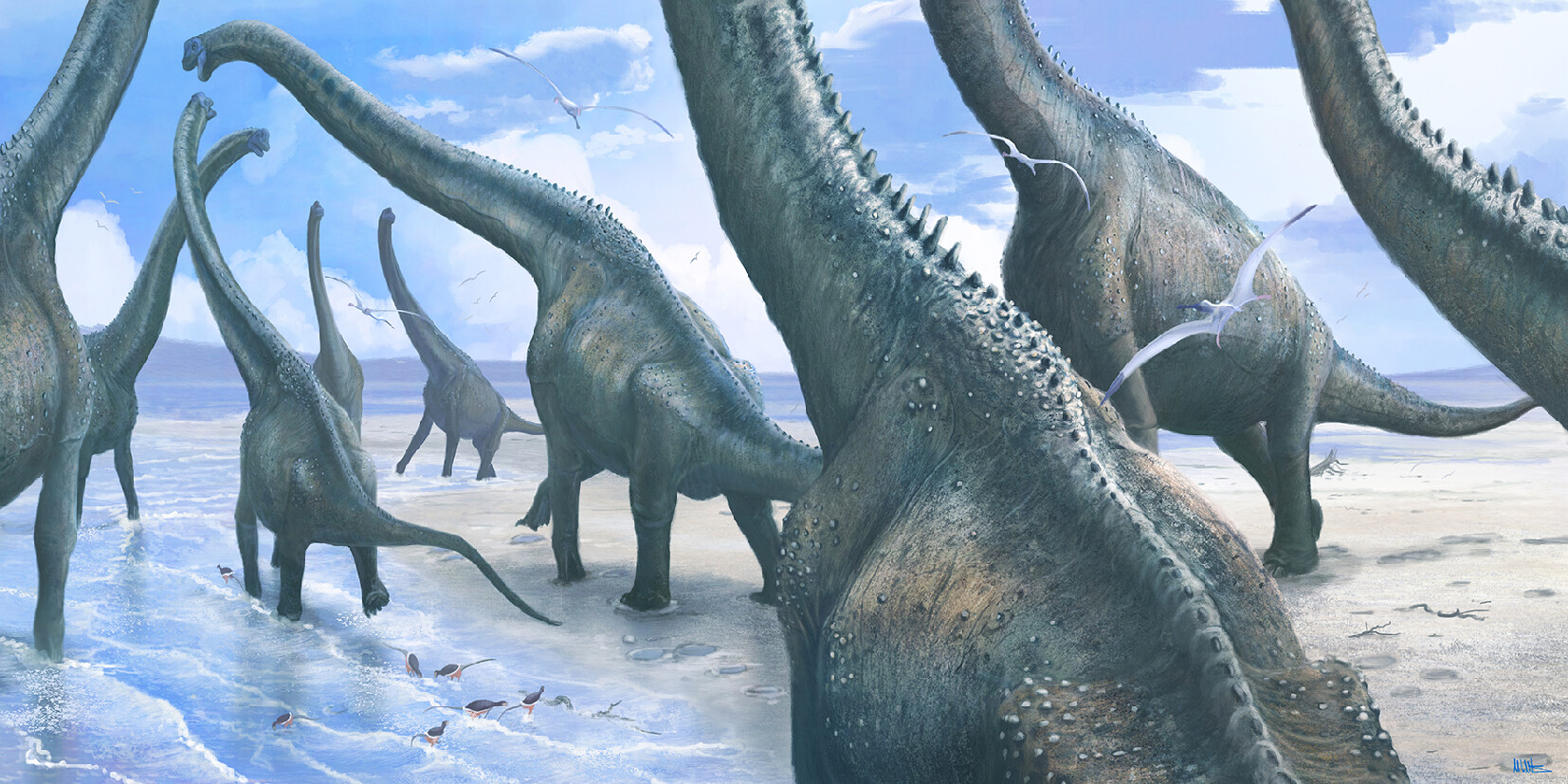 Sauropods walking across a beach. Artwork by Mark Witton.