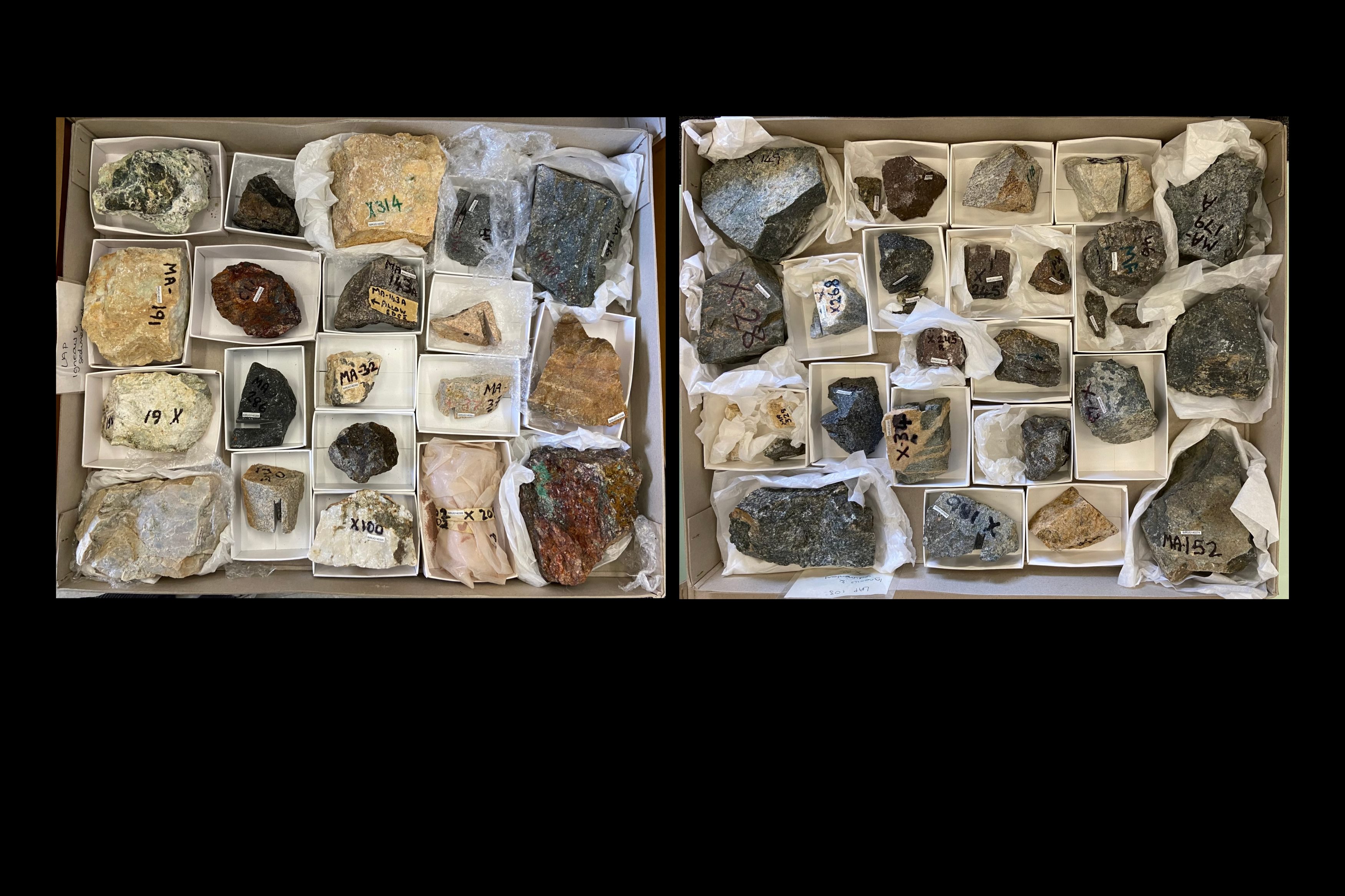 A series of rocks organised in specimen trays.