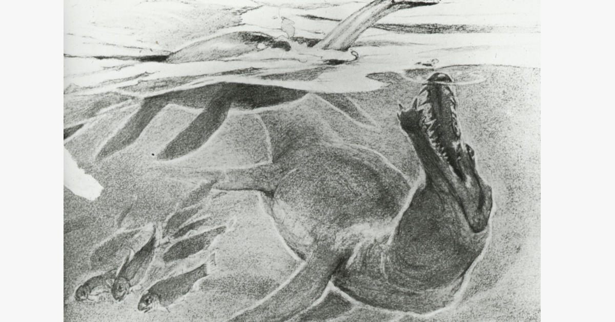Six women and their significant contributions to geology - IWD 2026 ...