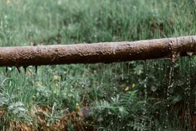 A rusted and leaking exposed water pipe in a field