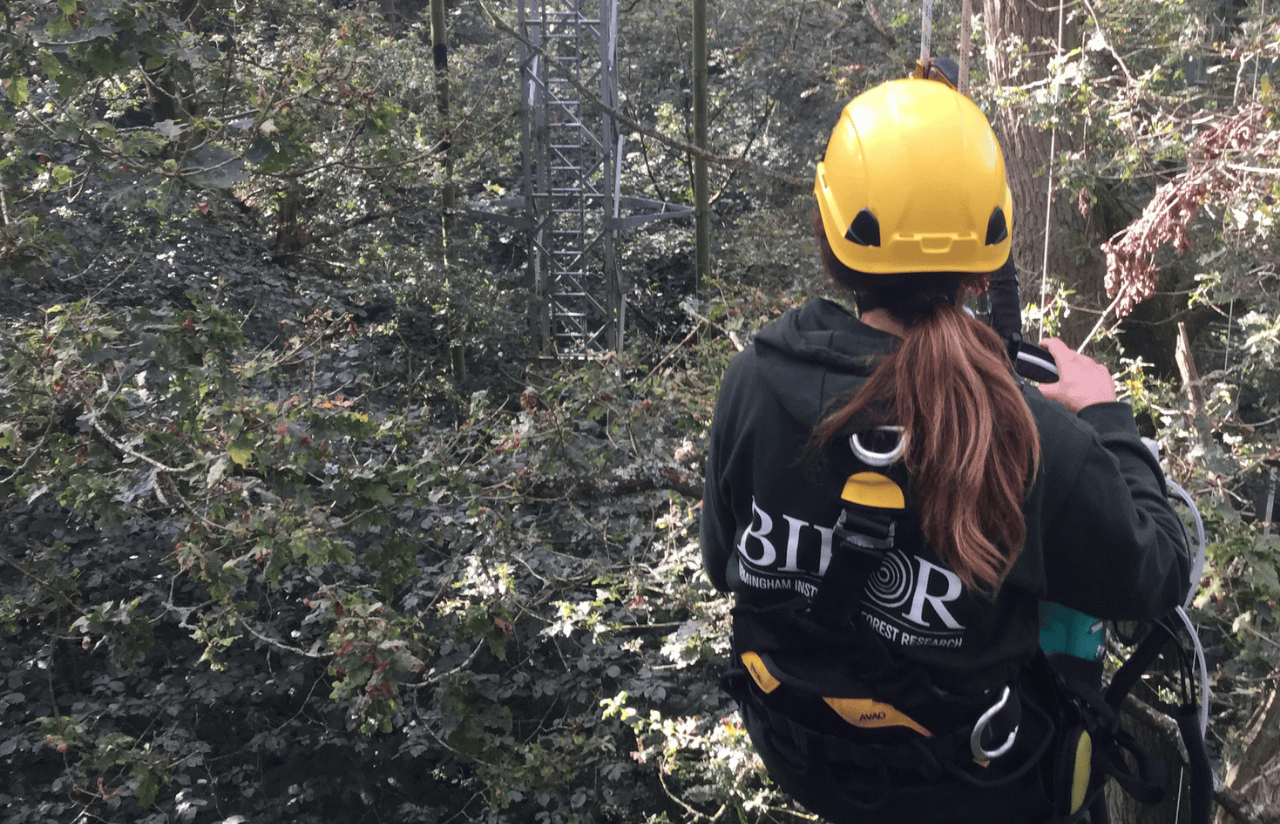 Person on a hoist with a BIFoR branded hoody.