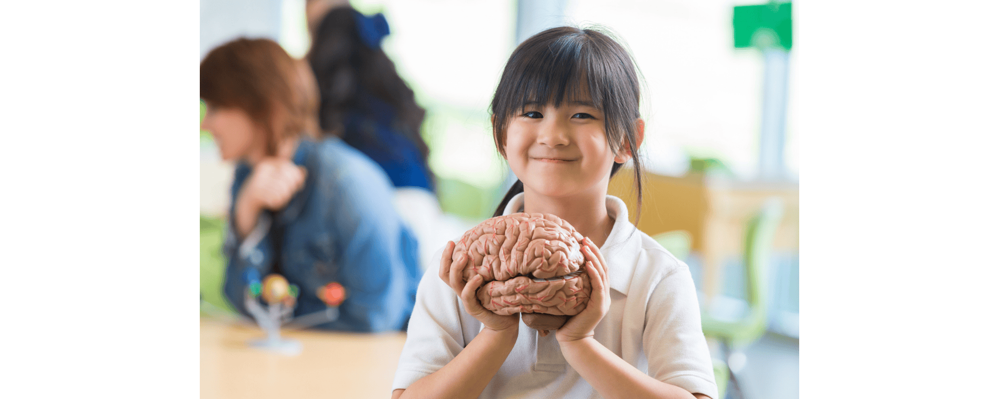 Child holding a model of a brain